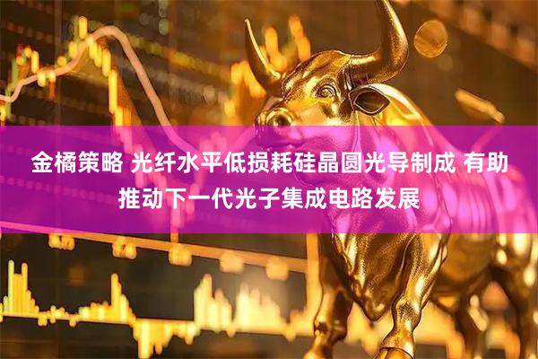 金橘策略 光纤水平低损耗硅晶圆光导制成 有助推动下一代光子集成电路发展