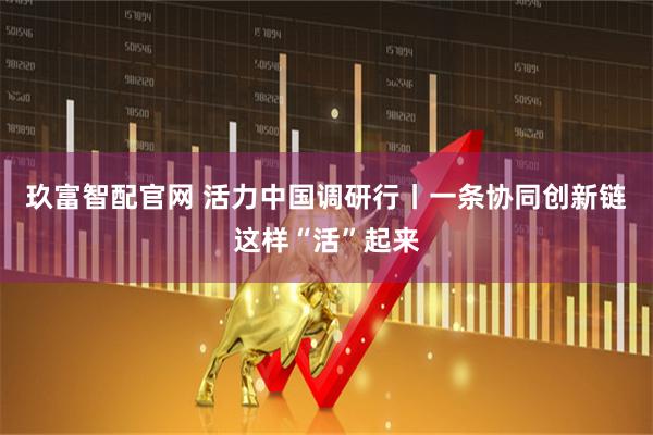 玖富智配官网 活力中国调研行丨一条协同创新链这样“活”起来
